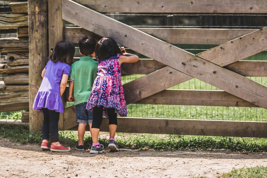 Children looking through a farm gate